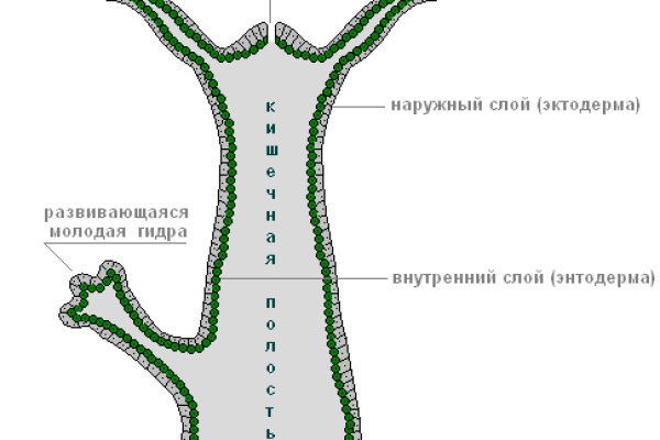 Логин пароль blacksprut bs2web top