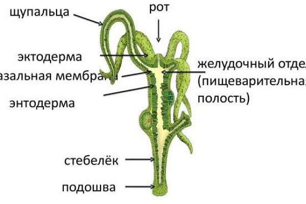 Блэк спрут ссылка blacksprut click